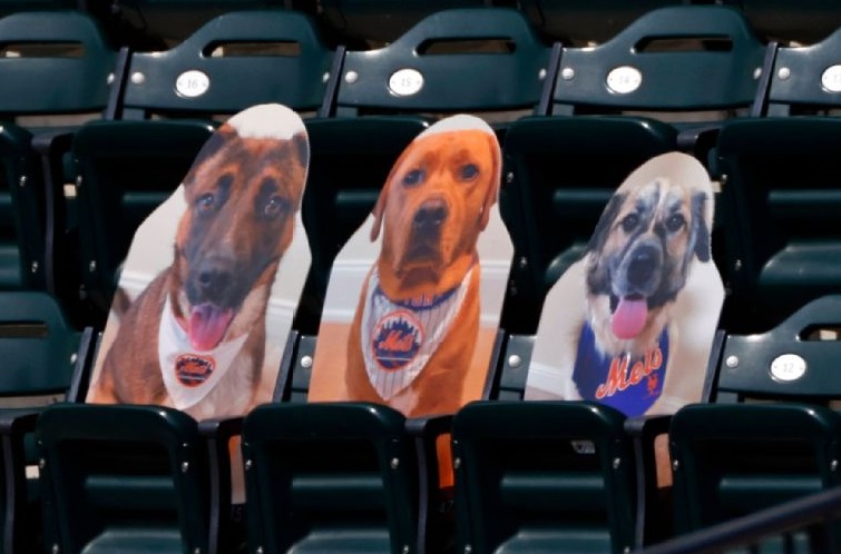 2020-07-26 McNeil'sDog